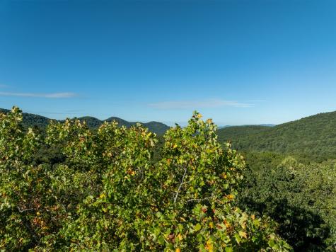 Lot 3 Wilderness Way Ellijay GA 30536