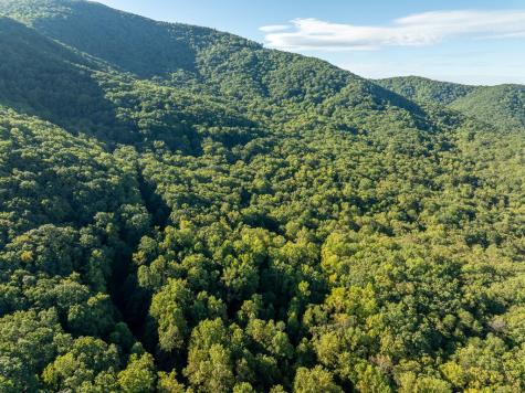 Lot 3 Wilderness Way Ellijay GA 30536