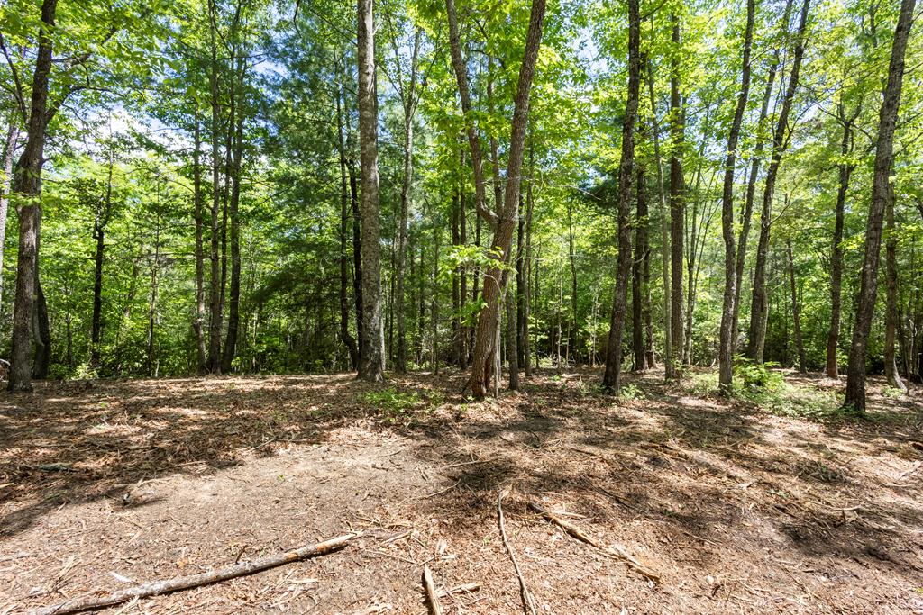 4.3 Ac Donley Road Murphy NC 28906
