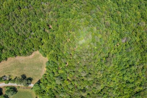 4.3 Ac Donley Road Murphy NC 28906