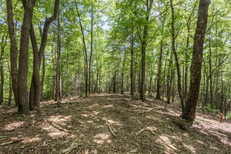 4.3 Ac Donley Road Murphy NC 28906