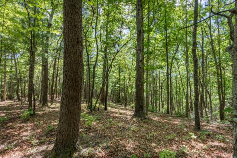 4.3 Ac Donley Road Murphy NC 28906