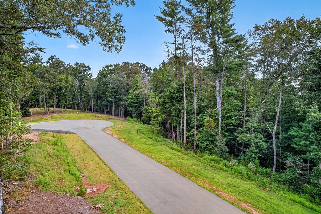 Lot 14 Clear Creek Preserve Way Ellijay GA 30536
