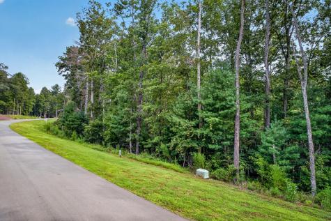 Lot 14 Clear Creek Preserve Way Ellijay GA 30536