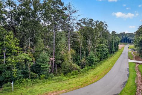 Lot 14 Clear Creek Preserve Way Ellijay GA 30536