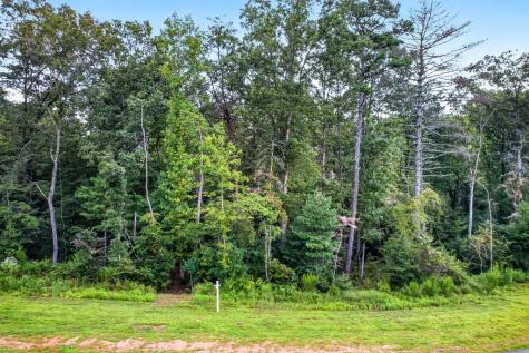 Lot 14 Clear Creek Preserve Way Ellijay GA 30536