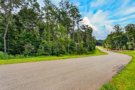 Lot 14 Clear Creek Preserve Way Ellijay GA 30536