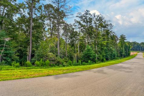 Lot 14 Clear Creek Preserve Way Ellijay GA 30536