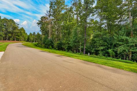 Lot 14 Clear Creek Preserve Way Ellijay GA 30536