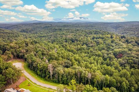 Lot 14 Clear Creek Preserve Way Ellijay GA 30536