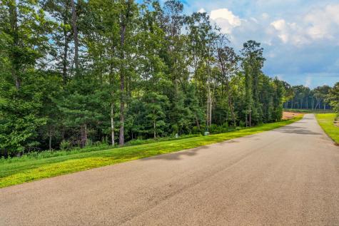 Lot 14 Clear Creek Preserve Way Ellijay GA 30536