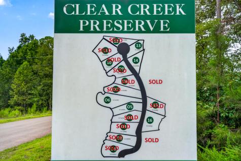 Lot 14 Clear Creek Preserve Way Ellijay GA 30536