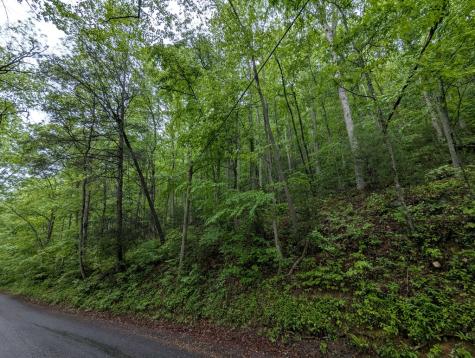 00 Big Creek Ellijay GA 30536