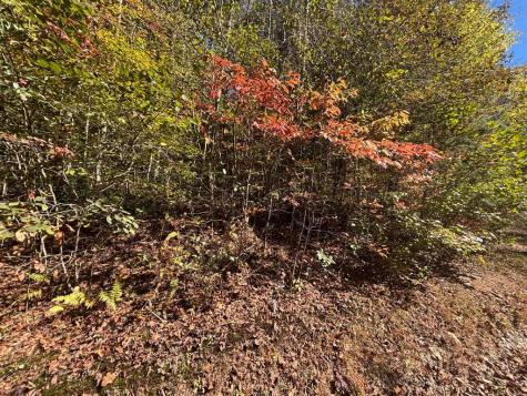 00 River Lane Marble NC 28905