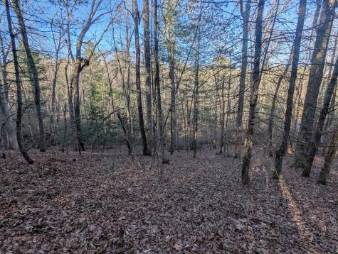 0 Ivy Log Drive Blairsville GA 30546