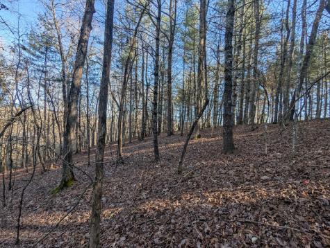 0 Ivy Log Drive Blairsville GA 30546