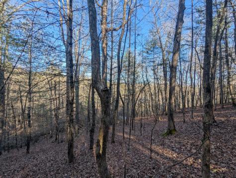 0 Ivy Log Drive Blairsville GA 30546