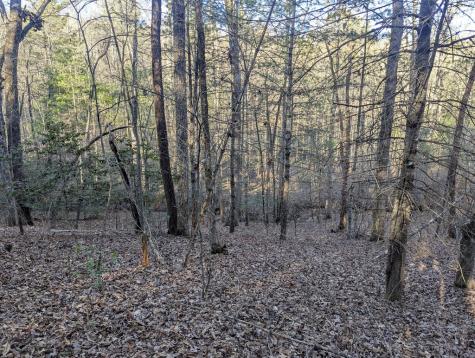 0 Ivy Log Drive Blairsville GA 30546