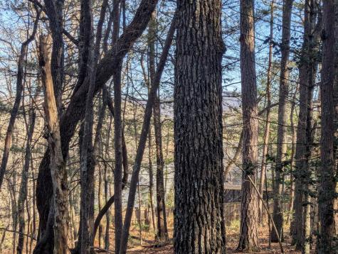 0 Ivy Log Drive Blairsville GA 30546