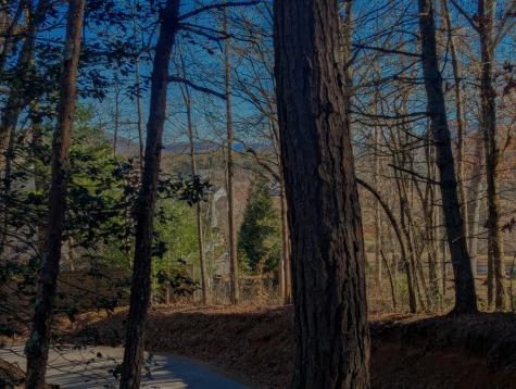 0 Ivy Log Drive Blairsville GA 30546