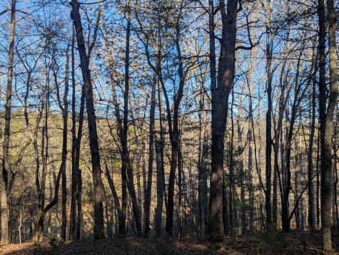 0 Ivy Log Drive Blairsville GA 30546