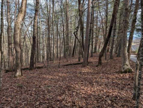 0 Ivy Log Drive Blairsville GA 30546