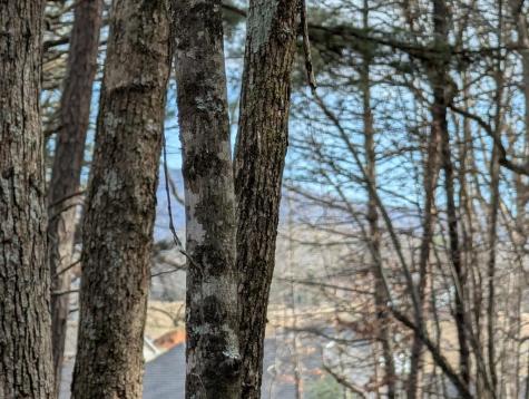 0 Ivy Log Drive Blairsville GA 30546