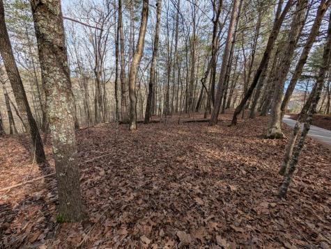 0 Ivy Log Drive Blairsville GA 30546