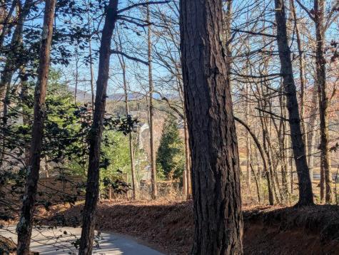 0 Ivy Log Drive Blairsville GA 30546