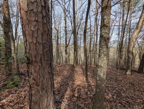 0 Ivy Log Drive Blairsville GA 30546