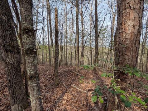 0 Ivy Log Drive Blairsville GA 30546