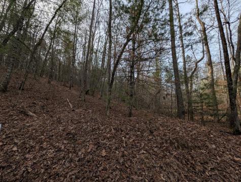 0 Ivy Log Drive Blairsville GA 30546