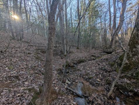 0 Ivy Log Drive Blairsville GA 30546