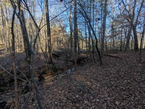 0 Ivy Log Drive Blairsville GA 30546