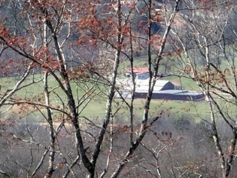 Lot 24 Grand Laurel Brasstown NC 28902