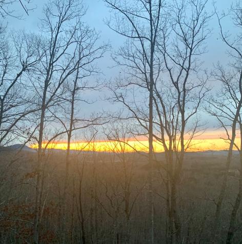 Lot 24 Grand Laurel Brasstown NC 28902