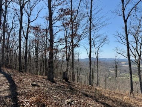 Lot 24 Grand Laurel Brasstown NC 28902