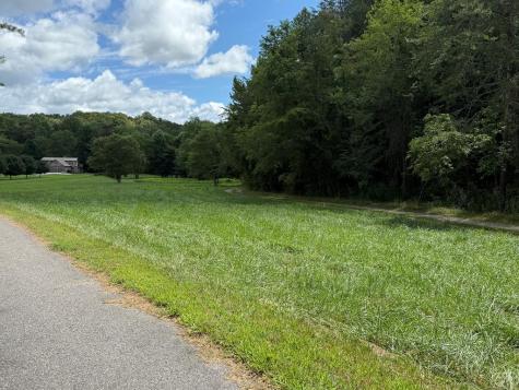 Lot 9 Riverside Blairsville GA 30512