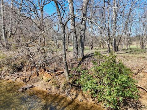 Lot 9 Riverside Blairsville GA 30512