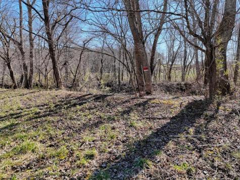Lot 9 Riverside Blairsville GA 30512
