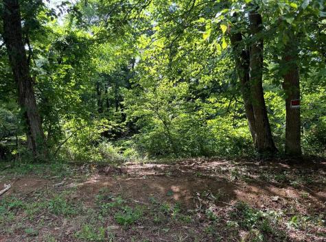 Lot 9 Riverside Blairsville GA 30512