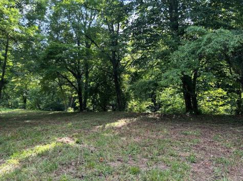 Lot 9 Riverside Blairsville GA 30512