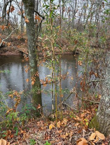 Lot 9 Riverside Blairsville GA 30512