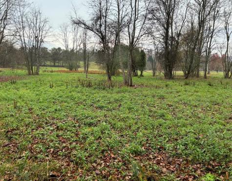 Lot 9 Riverside Blairsville GA 30512