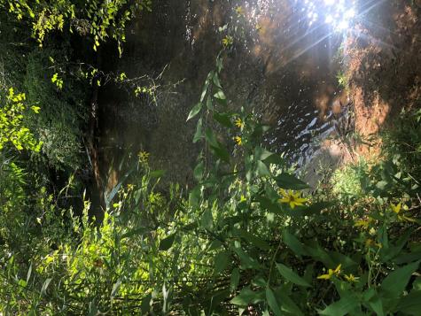 Lot 9 Riverside Blairsville GA 30512