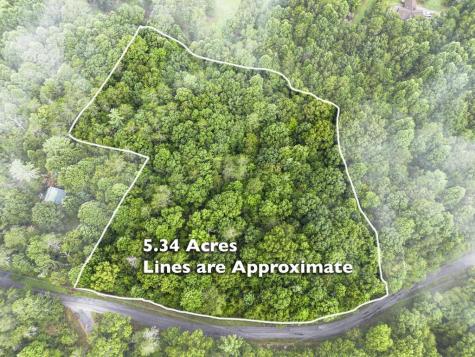 5.34 AC Hill Top Circle Mccaysville GA 30555