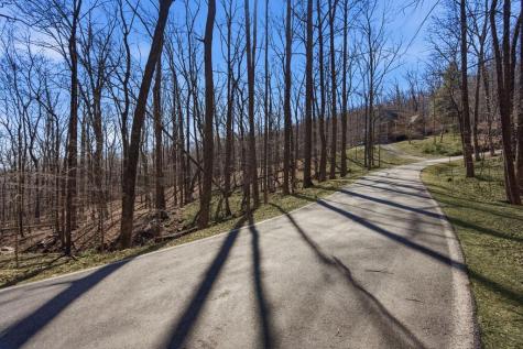 253 Windflower Drive Big Canoe GA 30143