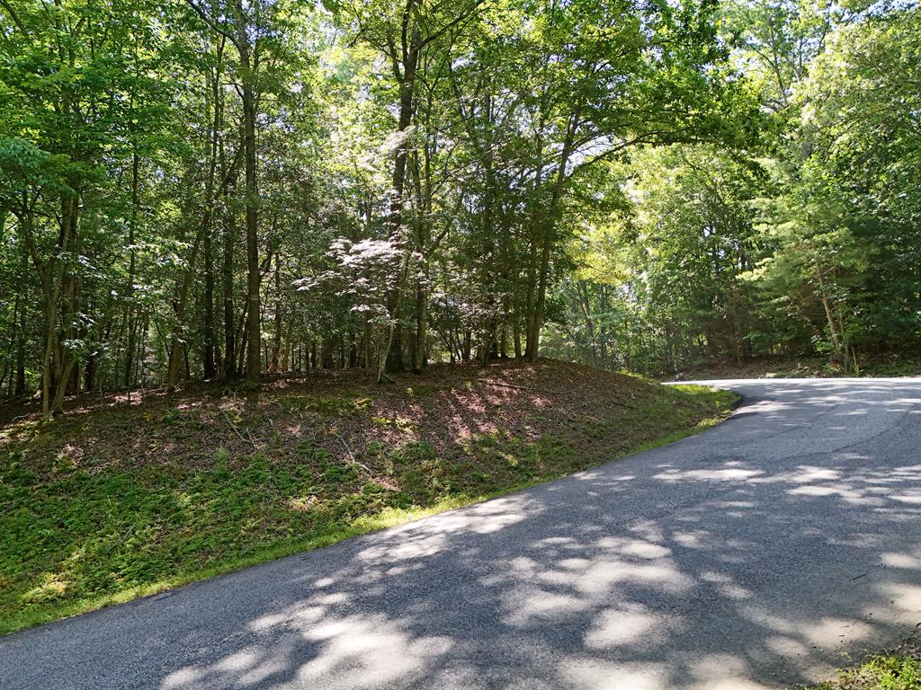 Lot 1 Eagle Bend Road Blairsville GA 30512