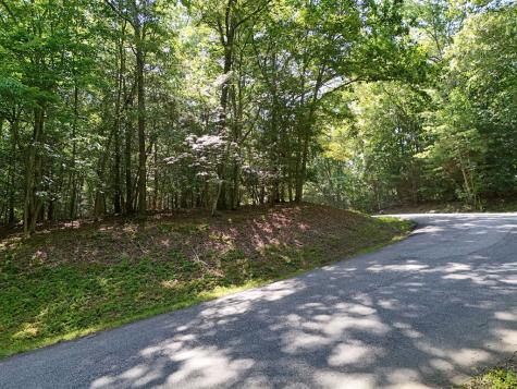 Lot 1 Eagle Bend Road Blairsville GA 30512
