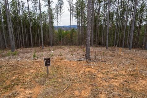Lot 112 Blalock Mountain Road Talking Rock GA 30175
